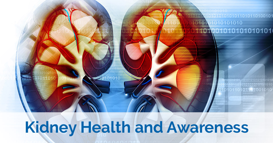 Kidney Health and Awareness